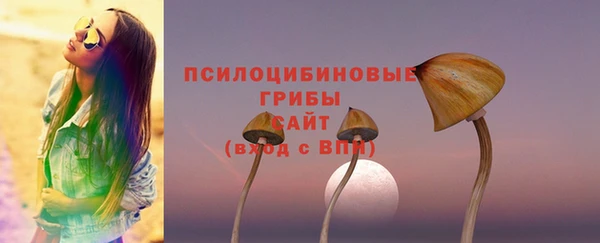 эйфоретик Горняк