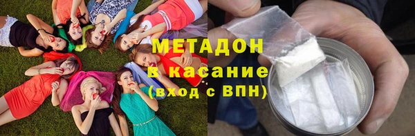 PSILOCYBIN Горно-Алтайск