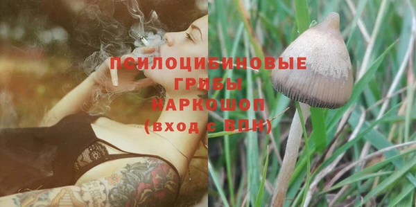 PSILOCYBIN Горно-Алтайск