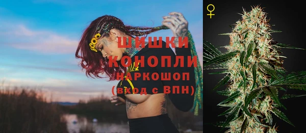 эйфоретик Горняк