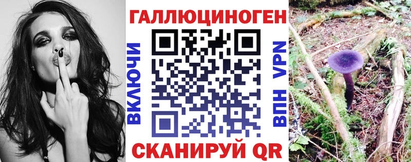 нарко площадка состав  Заинск  Псилоцибиновые грибы ЛСД 