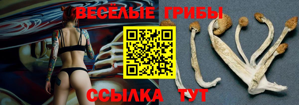 Заинск  Галлюциногенные грибы мицелий  Вход с VPN 